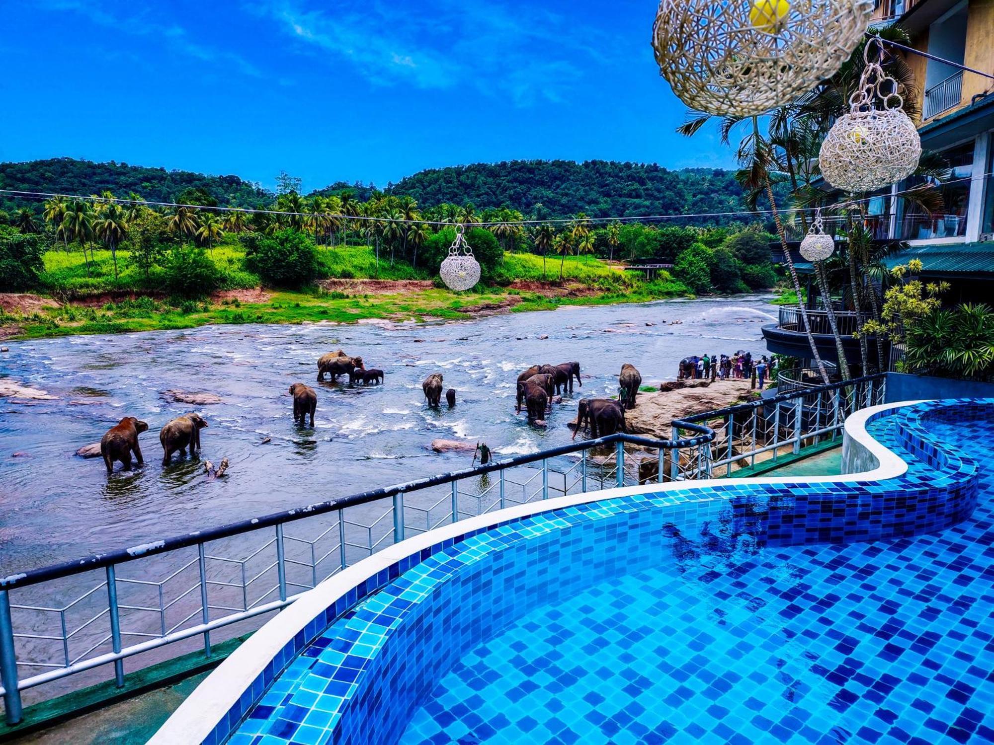Peacock Village Pinnawala - Offer Alert! Elephant Welfare Program Экстерьер фото